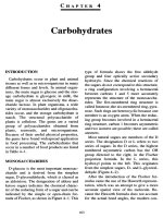 Carbohydrates 1 - Principle of food chemistry