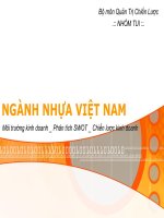 chiến lược ngành nhựa việt nam