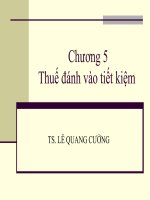 chương 5 thuế đánh vào tiết kiệm