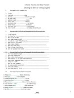 simple  future and near future