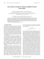 laser direct writing of volume modified fresnel