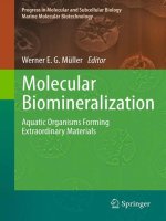 molecular biomineralization aquatic organisms forming extraordinary materials