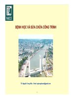 bài giảng bệnh học và sửa chữa công trình