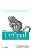 using drupal