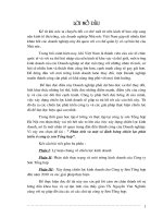 phân tích và một số định hướng chiến lược phát triển ở công ty sơn tổng hợp