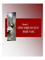 Bài giảng chương 2 công nghệ sản xuất rượu vang
