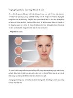 tổng hợp bí quyết cho da nhờn