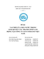 VAI TRÒ CỦA NHÀ NƯỚC TRONG  GIẢI QUYẾT CÁC TRANH CHẤP LAO ĐỘNG TẠI CÔNG TY LEVI STRAUSS VIỆT NAM