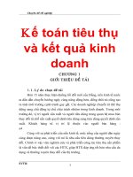Kế toán tiêu thụ và kết quả hoạt động kinh doanh tại Hợp tác xã Thương mại - Dịch vụ