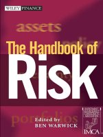 finance the handbook of risk