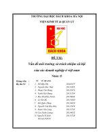 Vấn đề môi trường và trách nhiệm xã hội của các doanh nghiệp ở việt nam