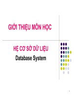 Giới thiệu môn học Hệ cơ sở dữ liệu