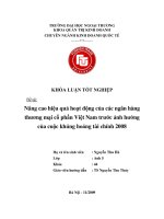 Nâng cao hiệu quả hoạt động của các ngân hàng thương mại cổ phần Việt Nam trước ảnh hưởng của cuộc khủng hoảng tài chính thế giới năm 2008