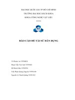 Báo cáo đề tài sứ dân dụng