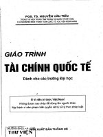 Tài chính quốc tế - nguyễnvăn tiến  thống kê, 2008