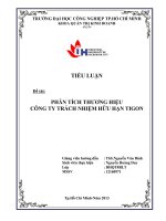 Tiểu luận quản trị thương hiệu - PHÂN TÍCH THƯƠNG HIỆU CÔNG TY TRÁCH NHIỆM HỮU HẠN TIGON