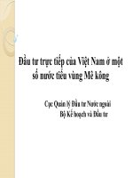 đầu tư trực tiếp của việt nam ở một số nước tiểu vùng mê kông