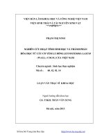 Nghiên cứu hoạt tính sinh học và thành phần hóa học từ cây cổ yếm lá bóng (Gynostemma Laxum (Wall.) Cogn] của Việt Nam