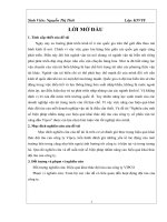 nghiên cứu và đề xuất một số biện pháp chủ yếu nhằm nâng cao hiệu quả khai thác đội tàu của công ty cổ phần vận tải xăng dầu vipco