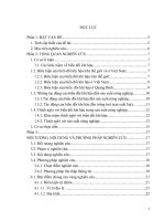 ảnh hưởng của biến đổi khí hậu đến hoạt động sản xuất lúa và các giải pháp thích nghi của người dân
