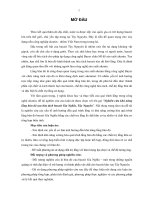 Luận án : Nghiên cứu khả năng lắng bùn đỏ sau hòa tách bauxit gia nghĩa, tây nguyên