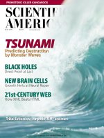 scientific american   -  1999 05  -  tsunami