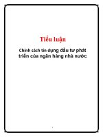 Tiểu luận: Chính sách tín dụng đầu tư phát triển của ngân hàng nhà nước