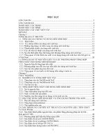 Nghiên cứu tổng hợp etyl este từ mỡ bò trên xúc tác dị thể bazơ rắn, ứng dụng làm tiền chất để chế tạo dung môi sinh học pha sơn