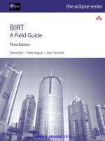 birt   a field guide, 3rd edition