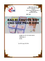 Báo cáo bao bì:  bao bì chuyên biệt cho sản phẩm kem