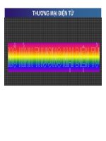 Bài giảng Thương mại điện tử - Chương 2: Mô hình thương mại điện tử