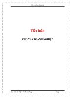 Tiểu luận: Cho vay Doanh nghiệp