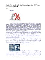 Quản lý tổ chuyên môn của hiệu trưởng trường THPT theo phương pháp SREM