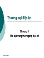 Bài giảng Thương mại điện tử - Chương 5: Bảo mật trong thương mại điện tử