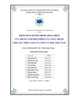 Tiểu luận kiểm soát rủi ro trong hoạt động của trung tâm phân phối Cửu long thuộc khu vực miền Nam của công ty P&G Việt nam