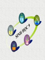 Giáo án sinh học 9 tham khảo Tiết 32 công nghệ tế bào bồi dưỡng