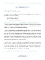 active directory domain services