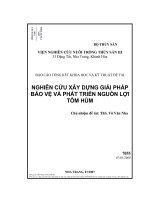 nghiên cứu xây dựng giải pháp bảo vệ và phát triển nguồn lợi tôm hùm