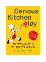 serious kitchen play