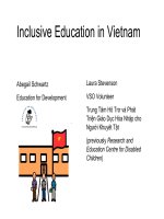 inclusive education in vietnam