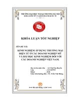 kinh doanh áp dụng thương mại điện tử ở các doanh nghiệp mỹ và bài học kinh nghiệm đối với các doanh nghiệp việt nam