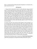 Vấn đề triển khai hệ thống nhận diện thương hiệu  các trường hợp xâm phạm thương hiệu chủ yếu