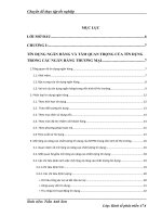giải pháp nhằm mở rộng quy mô tín dụng và nâng cao chất lượng tín dụng ở ngân hàng liên doanh việt-nga