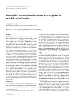 focussed ion beam machined cantilever aperture probes for near field optical imaging