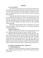 hoàn thiện kế toán nl, vl tại công ty cổ phần và xây dựng hoàng việt