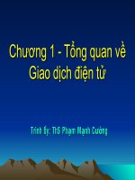 Tổng quan về giao dịch điện tử