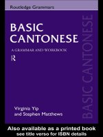 basic cantonese a grammar and workbook