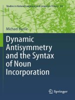dynamic antisymmetry and the syntax of noun incorporation