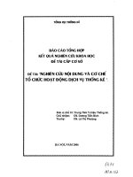 Nghiên cứu nội dung và cơ chế tổ chức hoạt động dịch vụ thống kê