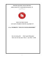 Báo cáo thực hành xây dựng website thương mại điện tử TOUCH YOUR JOB HERE” của SV FTU
